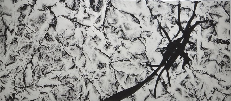 이정문, hep-fixation02-pollutio005