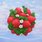 김표중, Planet #2508 썸네일