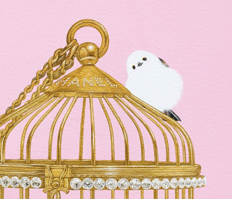 한아름, cage and bird3 상세 이미지 1