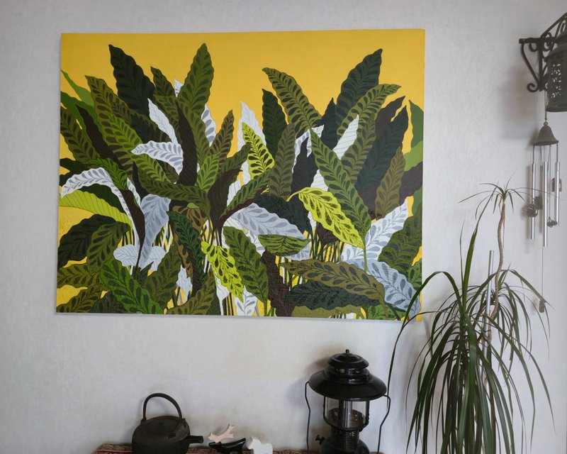 백은하, 칼라데아인시그너스(Calathea Insignis ) 상세 이미지 1