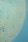 전웅, Circulation 상세 썸네일 3