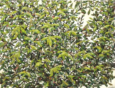 박정선, 나무의 잔상 202501