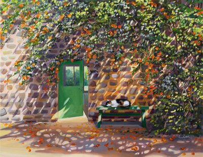 임은정, 양지의시간11(Sunny time11)