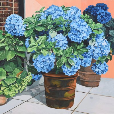 이두한, blue flower