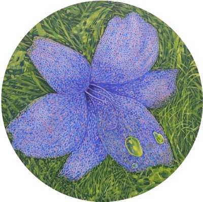 안태기, 압화표본1