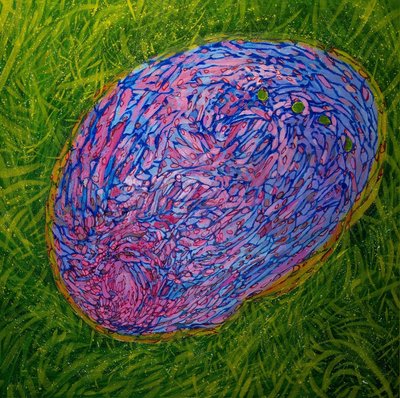 안태기, 껍질, 파편