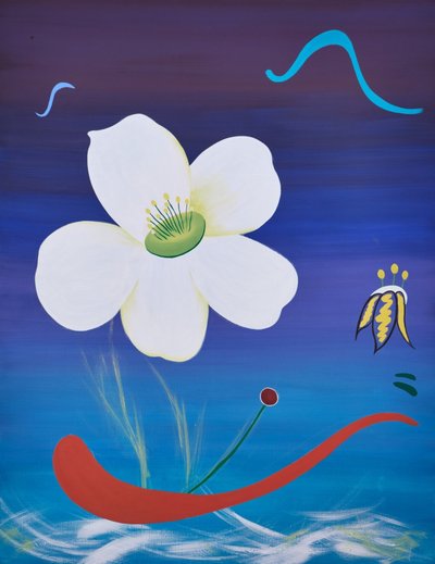 최경아, Anemone crinita Juz.
