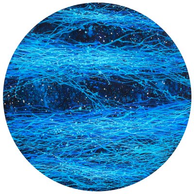 이지수, everglow IV-둥지(nest)