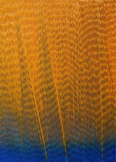 김영옥, 빛으로 드러내다-177