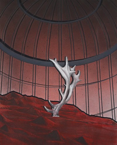 박소은, 새장 안의 뿔