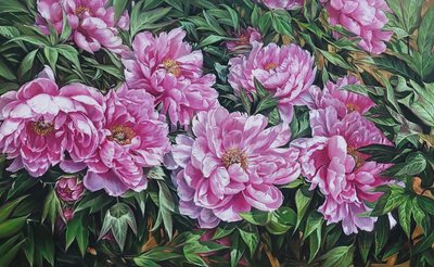 이상희, 그 해 여름2025