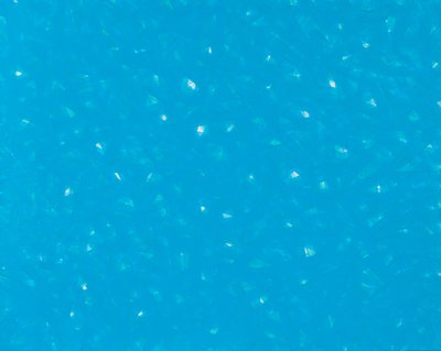 박혜경, 인연202409