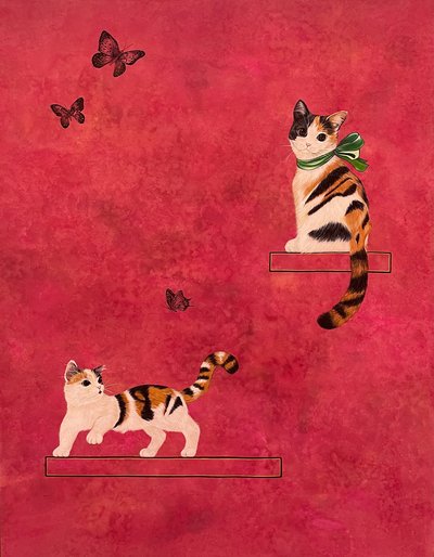 김은빈, 삼색고양이