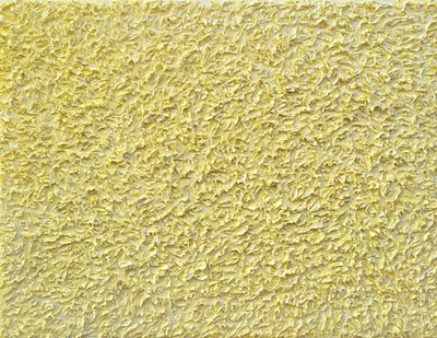 한기호, 그림자.물.풀.해가 피고 남은 빛