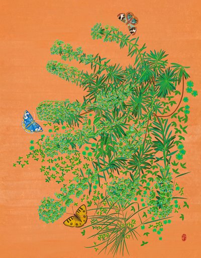 정지혜, Euphorbia martinii-2