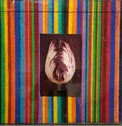 리정, 시간의 연속성 -붉은꽃(the Continuation of Time Red Flowers)