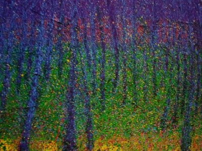 리정, 시간의 연속성 -숲