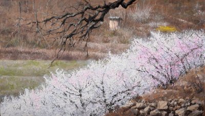 박승태, 용계리 매화