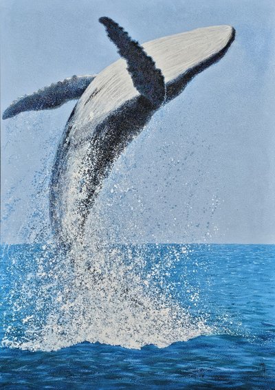 강정희, 동해 바다에서 의 조우