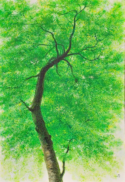 강정희, 바람에 흔들리는 초록