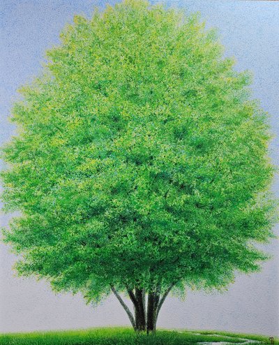 강정희, 매일 매일의 초록 생기