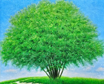 강정희, 초록 바람이 머무는 자리