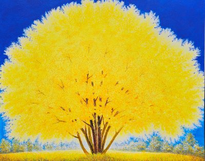 강정희, 생각 하는 대로 -나무와 나-