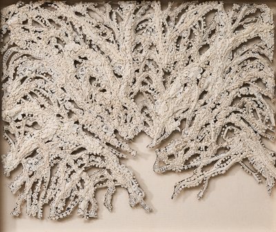 이윤정, 깊고깊은 산