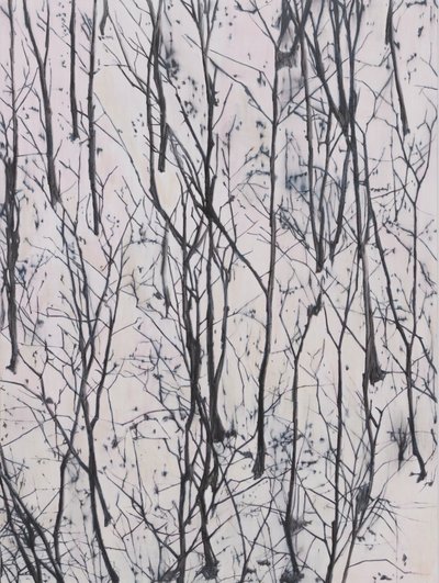 김정선, 겨울숲