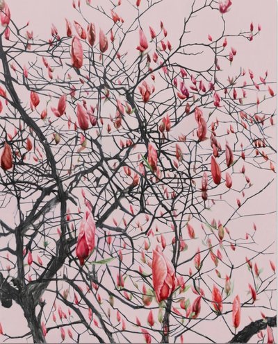 김정선, 자목련