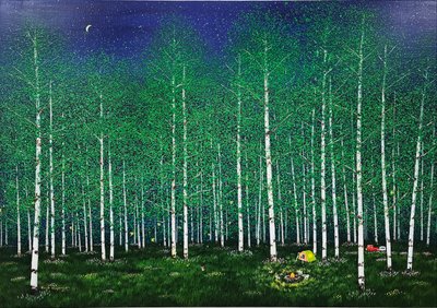 곽미영, 별 밤 캠핑