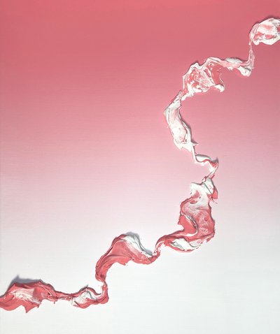 다이애나 리, Life Line 20