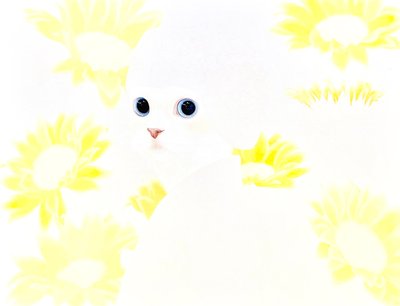정하경, 猫(묘)(Cat)