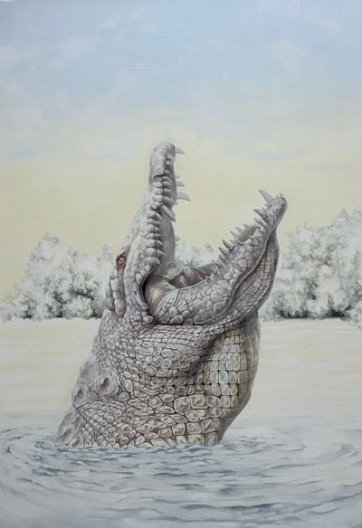 이병환, ALBINISM(알비니즘)-白鰐(백악)