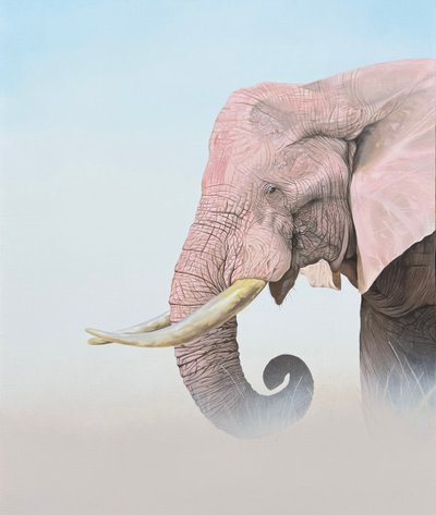 이병환, ALBINISM(알비니즘)-白象(백상) IV