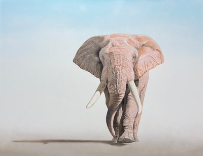 이병환, ALBINISM(알비니즘)-白象(백상) V