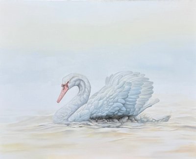 이병환, ALBINISM(알비니즘)-白鳥(백조)