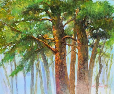 김정희, 빛을 품은 소나무