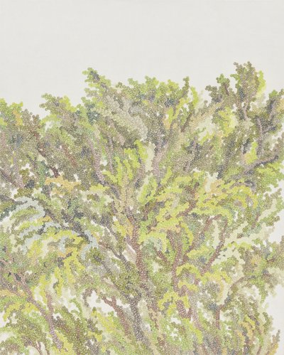 노혜경, 무던히, 무심히