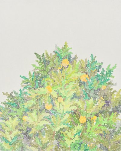 노혜경, 경험하지 못한 여름을