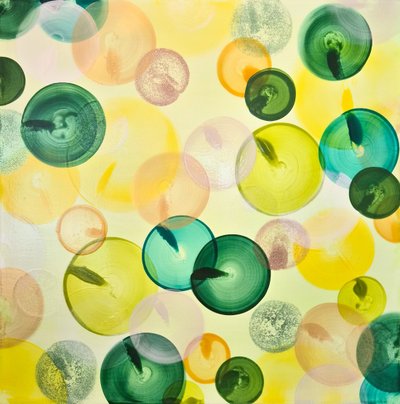 박신영, The light of nature 23-61