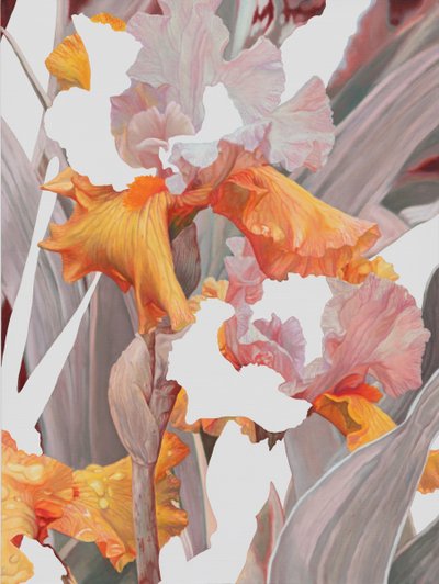 한수정, 119Iris