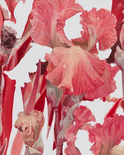 한수정, 120Iris