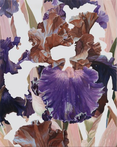한수정, 122Iris