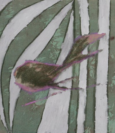 정윤아, 동생 금붕어