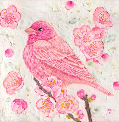 금송가현, 파랑새