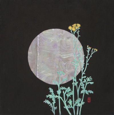 이지정, 백묘국