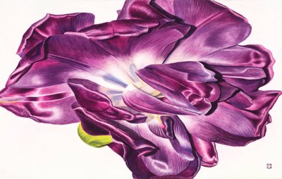 오정미, 화훼본색