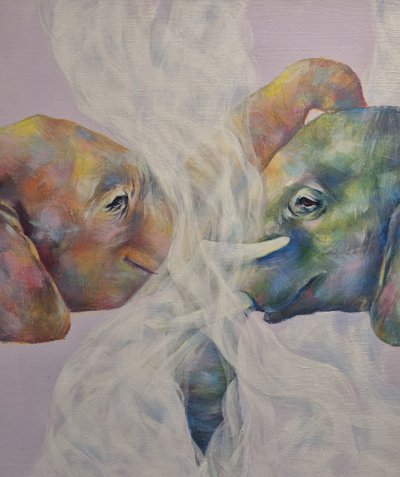 심미선, 코끼리 끼리