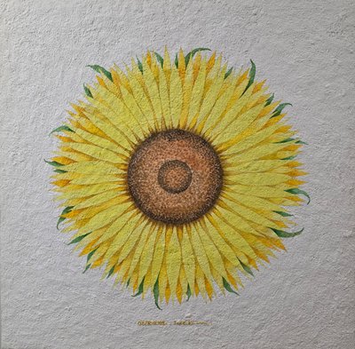 온람, 해바라기2604